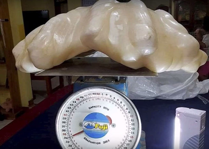 A $100M Clam Pearl? Getouttahere!