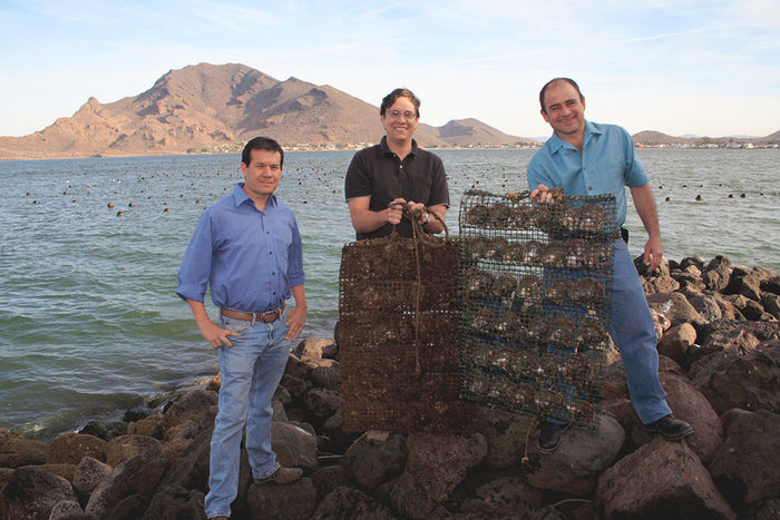 Interview With Douglas McLaurin: Creator Of Sea Of Cortez Pearls
