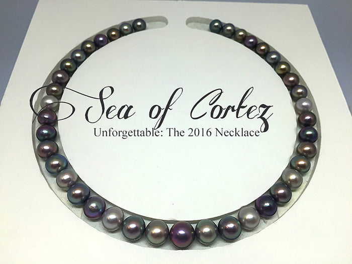 The Sea of Cortez 